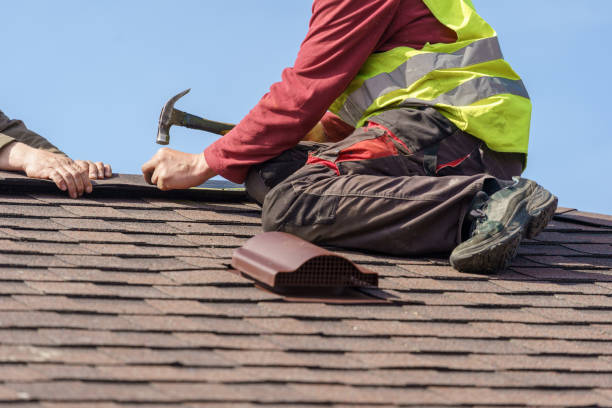 Best Roof Waterproofing Services  in Macon, IL